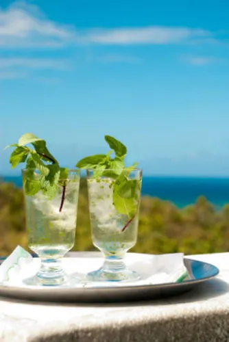 Mynt Retreat Bed & Breakfast Montego Bay