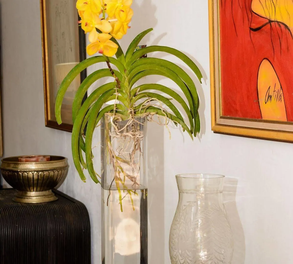 Mynt Retreat Bed & Breakfast Montego Bay