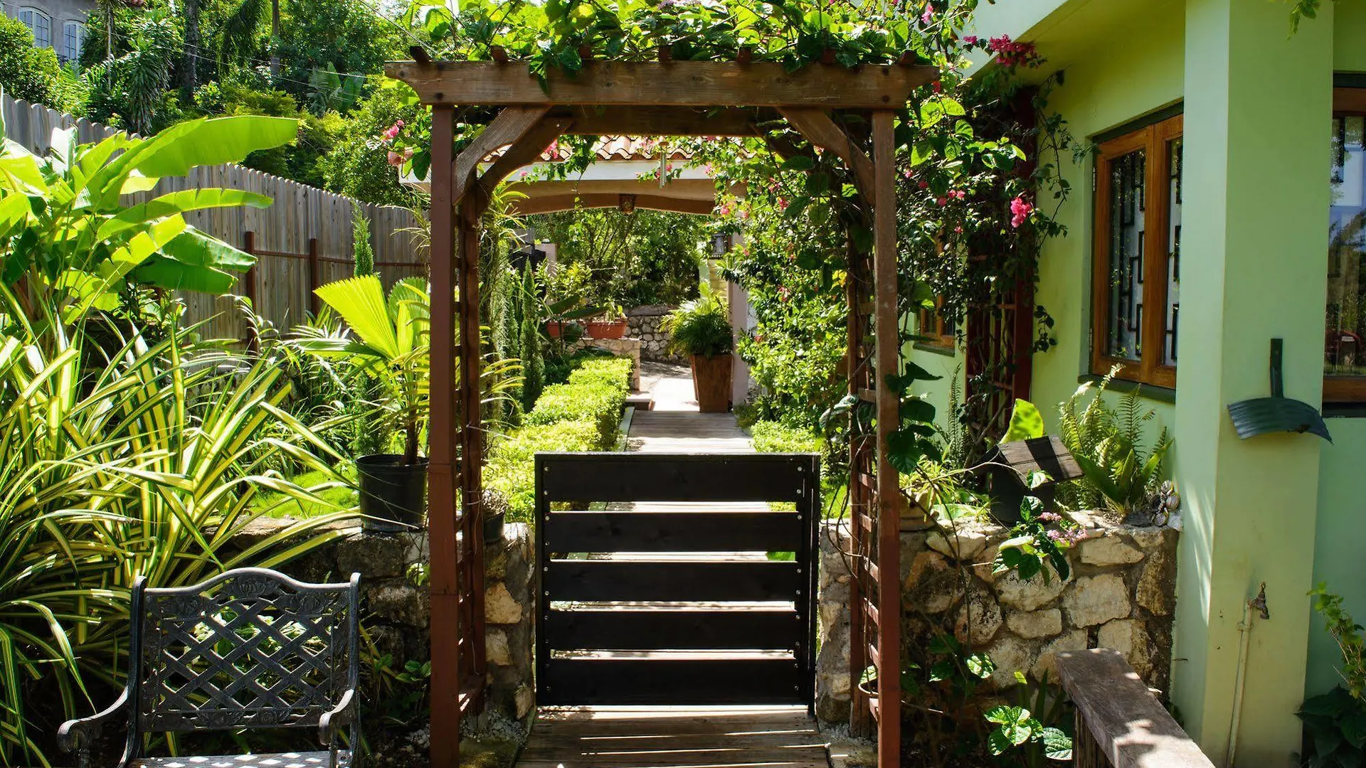 Mynt Retreat Bed & Breakfast Montego Bay
